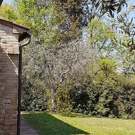 Gambassi Terme/toskana 23875 Гамбасси-Терме